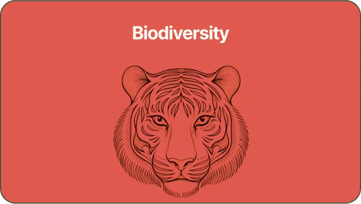 A picture of a tiger on a red background.